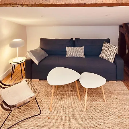 Saint Sernin I Joli T2 Sous Les Toits Apartamento Toulouse